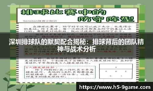 深圳排球队的默契配合揭秘：排球背后的团队精神与战术分析